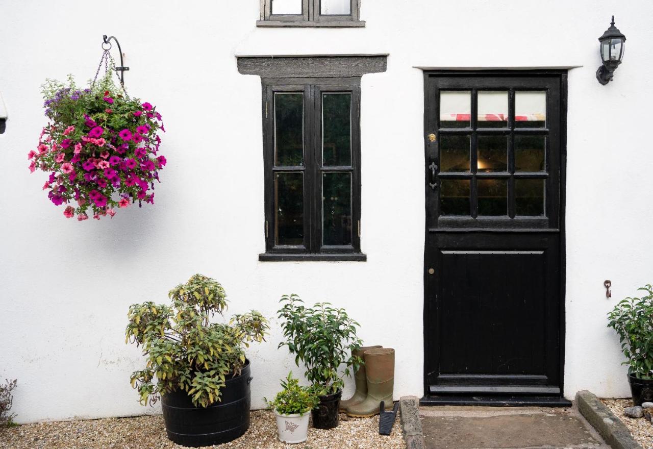Woodview - Cosy 1840S Cottage In Chew Valley And Mendip Aonb Compton Martin Esterno foto