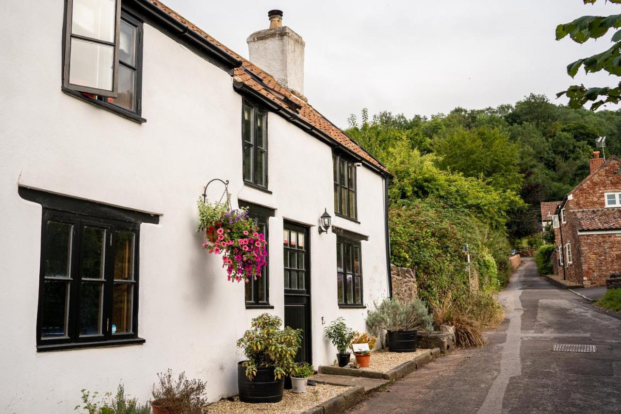 Woodview - Cosy 1840S Cottage In Chew Valley And Mendip Aonb Compton Martin Esterno foto